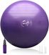 М'яч для фітнесу (фітбол) WCG 55 Anti-Burst 300кг Фіолетовий + насос