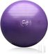 Мяч для фитнеса (фитбол) WCG 65 Anti-Burst 300кг Фиолетовый