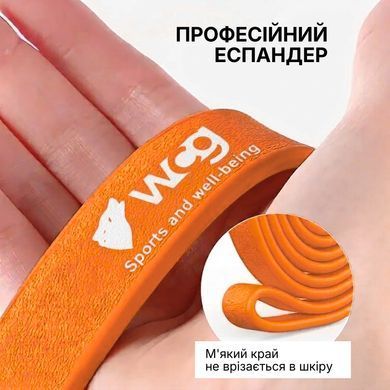 Фитнес-резинка WCG PowerStrip Level 3 (27 - 45 кг) &mdash; Резиновая петля / эспандер для тренировок и подтягиваний